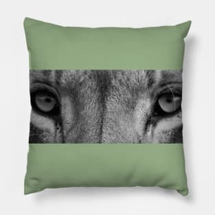 Lion Eyes (B&W) Pillow