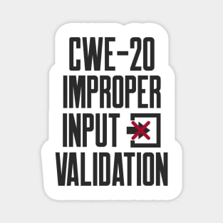 Secure Coding CWE-20 Improper Input Validation Magnet