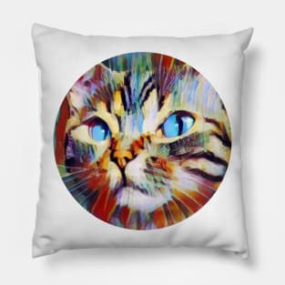 Behavioral floppy cat Pillow