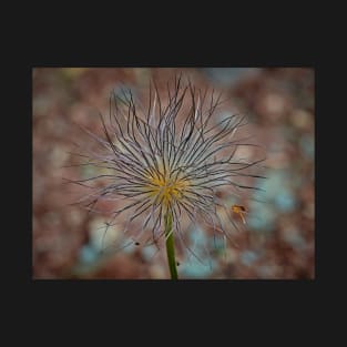 Pasqueflower T-Shirt