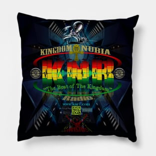 KNR Devices Pillow