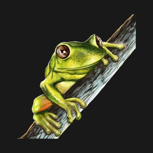 Green tree frog on a branch with big eyes T-Shirt