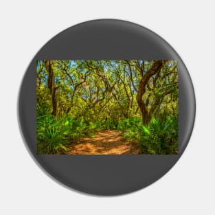 Cumberland Island National Seashore Pin