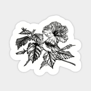 Hibiscus Plant Magnet