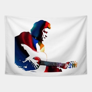 johnny cash Tapestry