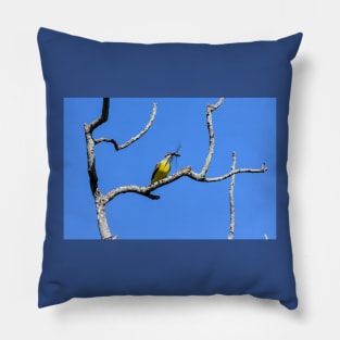 Couch's Kingbird - Dragonfly For Lunch Pillow