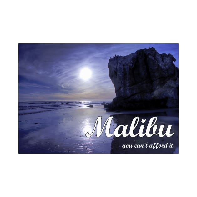 Malibu - You Can't Afford It: Funny Parody of Vacation Souvenir by Naves