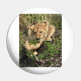 Lion Cub Pin