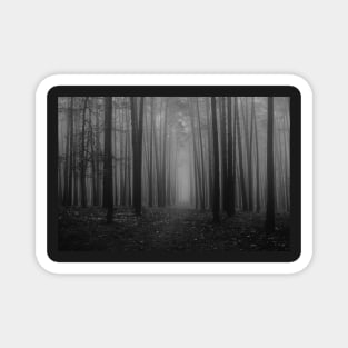 black and white foggy woods folklore taylor swift Magnet