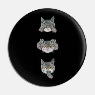 No Evil Cat Pin