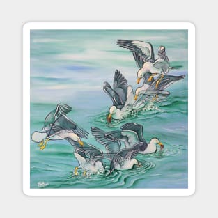 "Kelpigarten" Kelp Gulls Magnet