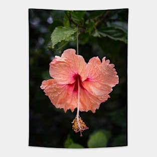 Hibiscus Tapestry