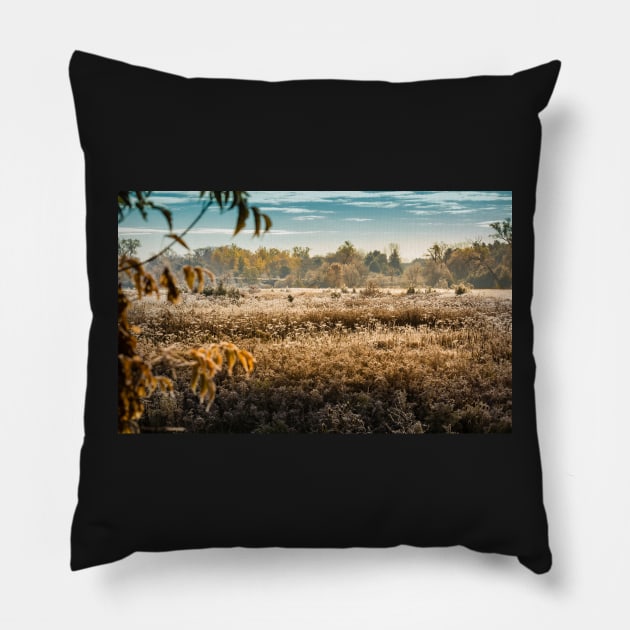 Early Morning Frosty Field Pillow by Robert Alsop