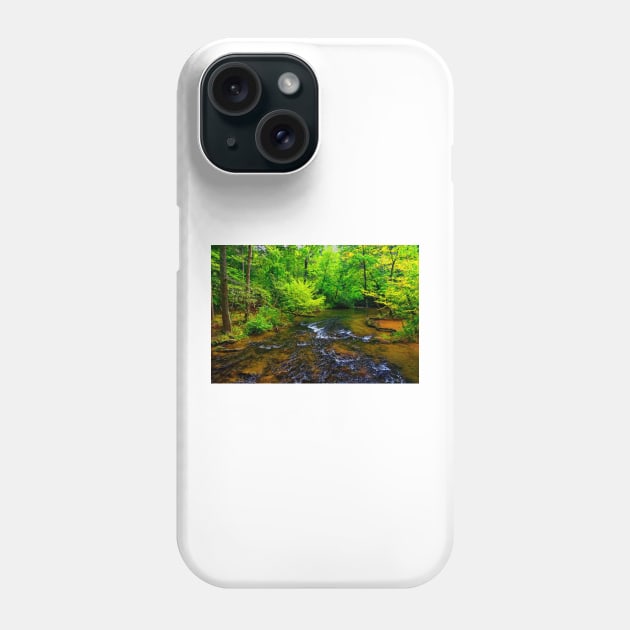 Mountain Stream on the Abrams Falls Trail Phone Case by BrianPShaw