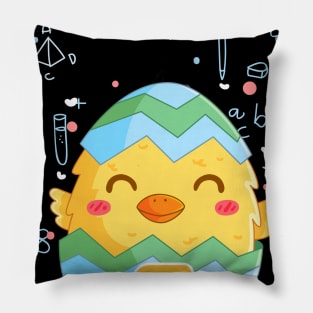 Cute Chicken Love Pi Costume Gift Pillow