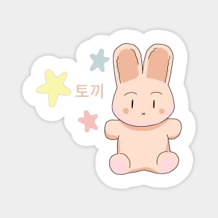 Korean Bunny Magnet