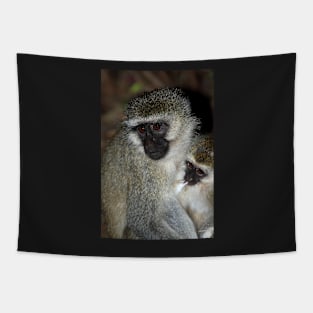 Black-faced Vervet Monkeys, Kenya. Tapestry