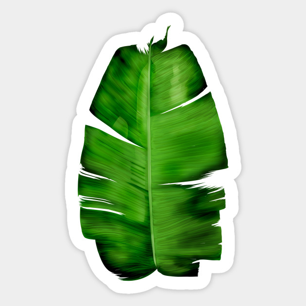Get Wallpaper Banana Leaf Painting Monstera Deliciosa Sticker Teepublic For Free