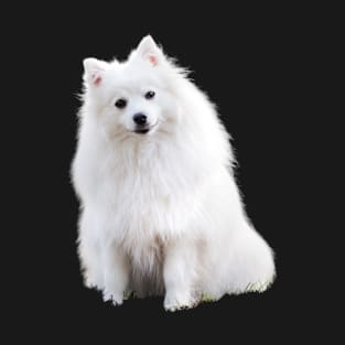 beautiful white little dog T-Shirt