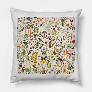 Biology of America USA Pillow