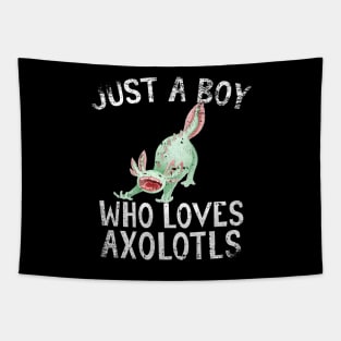 Just A Boy Who Loves Axolotls Tapestry