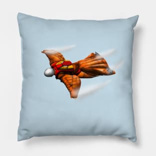 Wingsuit Pillow