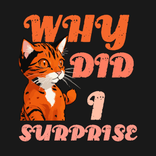 Cat surprised - why did i surprise T-Shirt