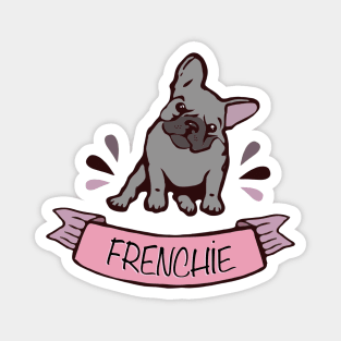 french bulldog for frenchie lover french bulldog color blue grey Magnet