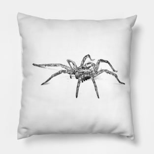 Spider scientific nature black ink pen drawing illustration, From my scientific nature illustration series of black ink pen drawings. Pillow