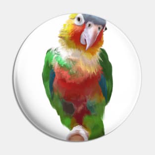 Cute Parrot Drawing Pin