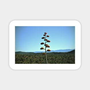 Sprouting flower in the brush Magnet