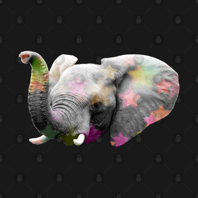 Elephant Disco by druscilla13