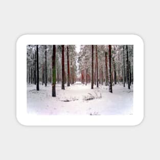 Red Trees in the Winter Forest Magnet