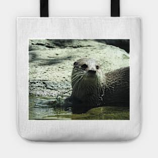 Asian Small-clawed Otter Tote