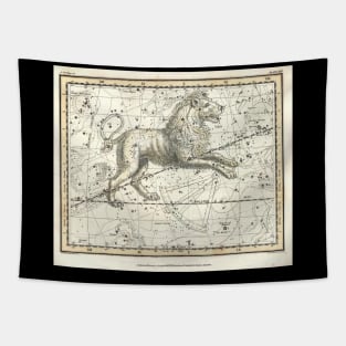 Leo Constellation - Celestial Atlas Alexander Jamieson Tapestry