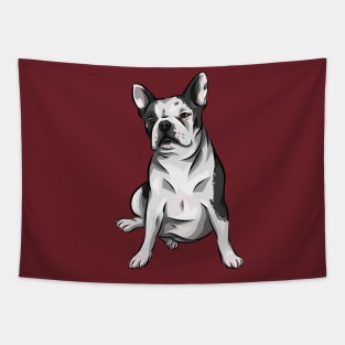 Cute French Bully! | French Bulldog Tapestry