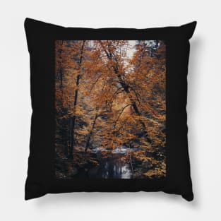 Bohemian Switzerland: Scenic Landscape Photography #1 Pillow