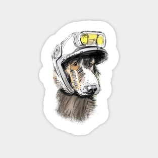 dog in a helmet Magnet