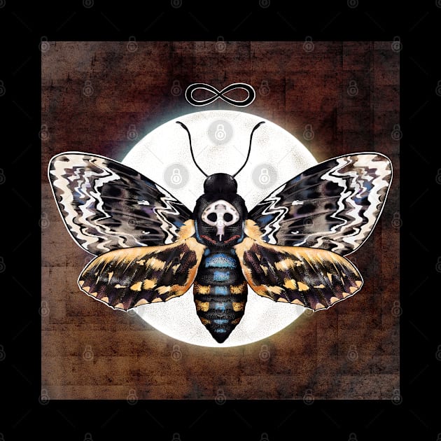 Deaths head moth by Sitenkova