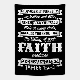 James 1:2-3 Tapestry