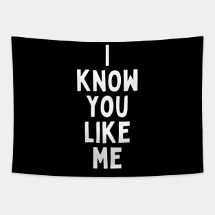 I Know You Like Me Flirting Valentines Romantic Dating Desired Love Passion Care Relationship Goals Typographic Slogans for Man’s & Woman’s Tapestry