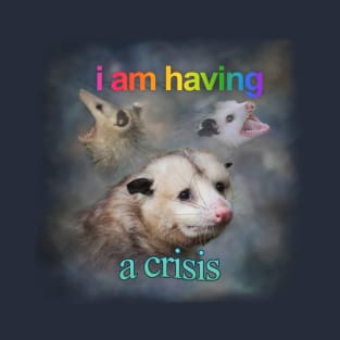 Crisis Possum Meme T-Shirt