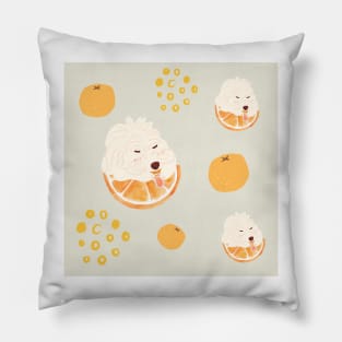 Orange and Juice Drinking Maltipoo Dog Pillow