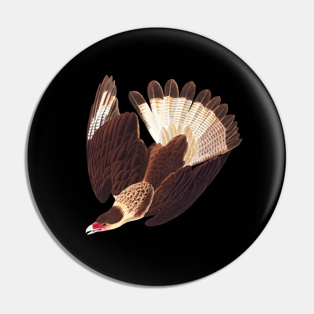 Brazilian Caracara Eagle Pin by RockettGraph1cs