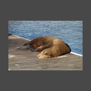 Knapping on the Dock of The Bay T-Shirt