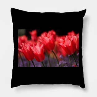 Red Flowers . Pillow