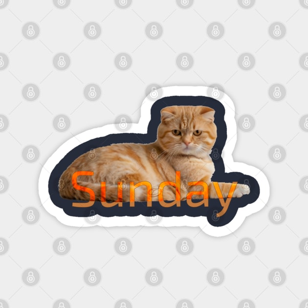 Sunday cat!. Don´t bother me please. Magnet by Cavaleyn Designs