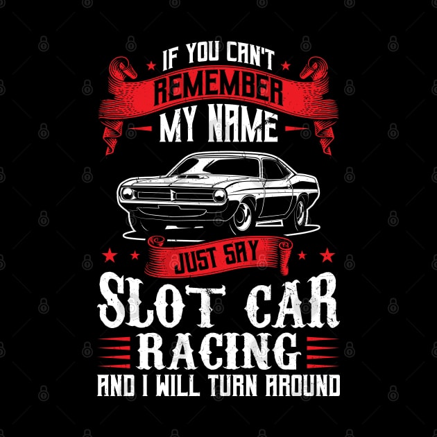 Say Slot Car Racing And I Will Turn Around by Peco-Designs