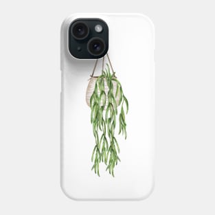 Hoya Linearis Phone Case