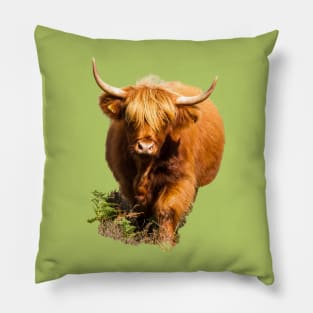 Highland Cow in Fern Pillow